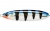 Блесна незацепляйка RAPALA Minnow Spoon 05 MBT