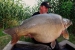 Бойли тонучі DYNAMITE BAITS Big Fish Hot Fish & GLM Boilies - 15mm, 1kg