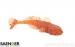 Силикон SAENGER IRON CLAW Gobody 9cm BRB