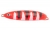 Блесна незацепляйка RAPALA Minnow Spoon 08
