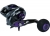 Мультиплікаторна котушка Daiwa Prorex TWS 400PL-P (Left Hand)