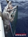 Крючки Decoy Jigging Single Cutlass JS-2
