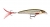 Воблер RAPALA X-Rap XR10-ROL 10cm 13g Live Roach (ROL)
