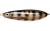 Блесна незацепляйка RAPALA Rattlin' Minnow Spoon 08 PEL