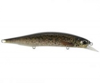 Воблер DUO Realis Jerkbait 120SP PIKE LIMITED CCC3815 Brown Trout ND